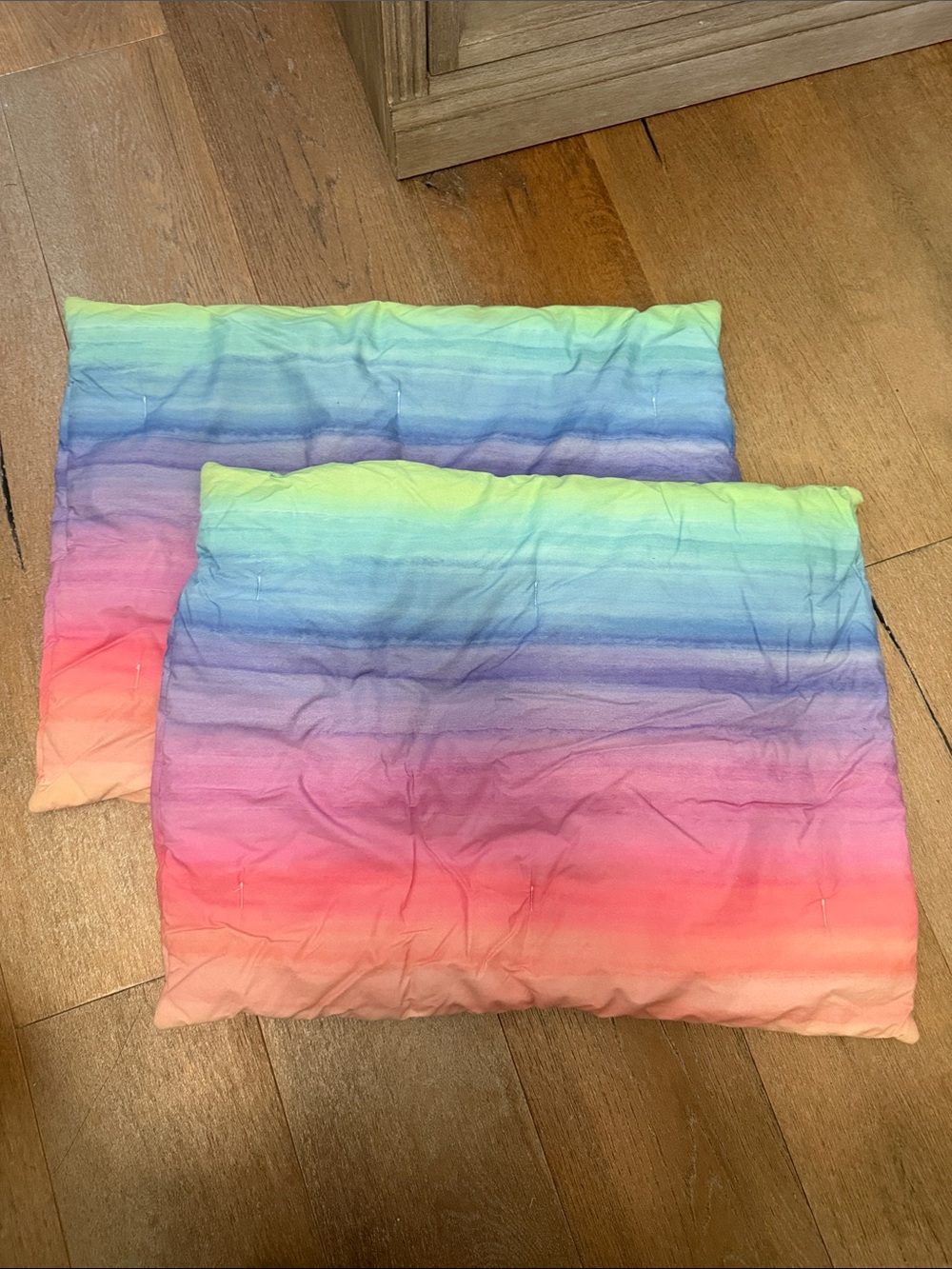 Pottery Barn Teen Rainbow Ombre Standard Pillow Shams Pair
